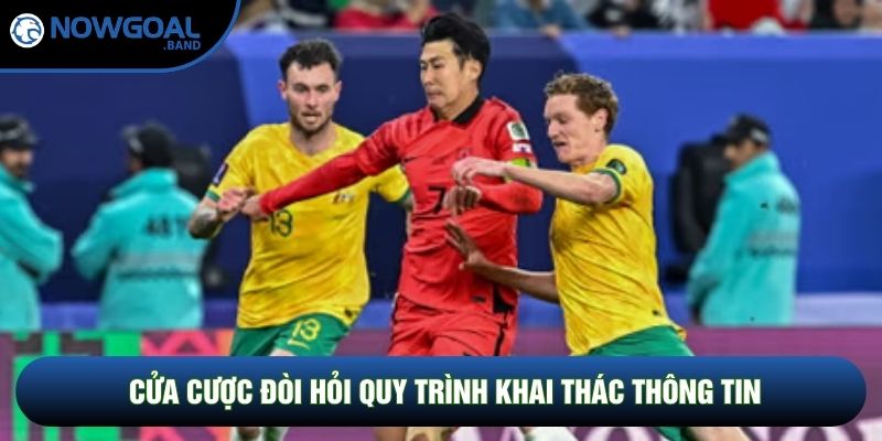Cửa cược đòi hỏi quy trình khai thác thông tin