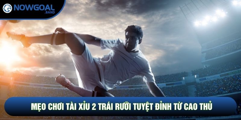 Mẹo chơi tài xỉu 2 trái rưỡi tuyệt đỉnh từ cao thủ Mẹo chơi tài xỉu 2 trái rưỡi tuyệt đỉnh từ cao thủ