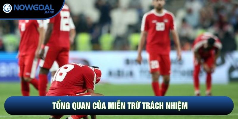 Tổng quan của miễn trừ trách nhiệm
