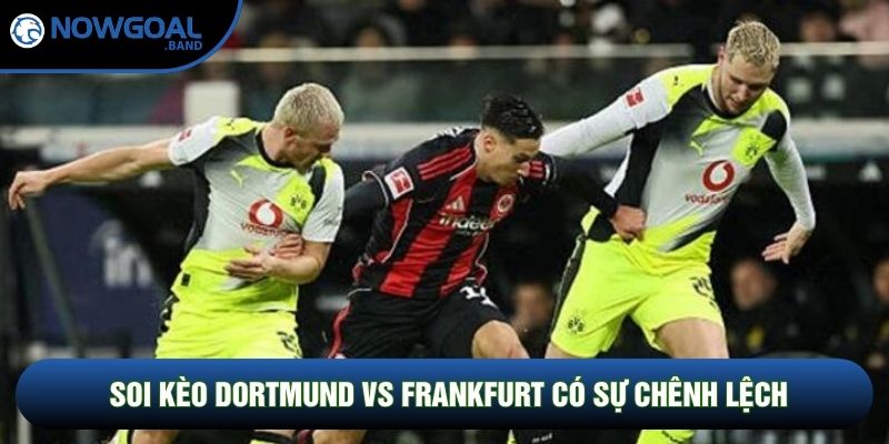Soi kèo Dortmund vs Frankfurt có sự chênh lệch Soi kèo Dortmund vs Frankfurt có sự chênh lệch