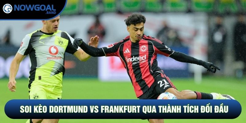 Soi kèo Dortmund vs Frankfurt qua thành tích đối đầu Soi kèo Dortmund vs Frankfurt qua thành tích đối đầu
