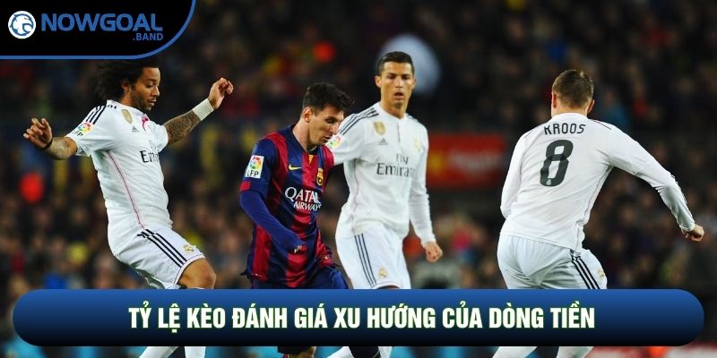 Tỷ lệ kèo đánh giá xu hướng của dòng tiền
